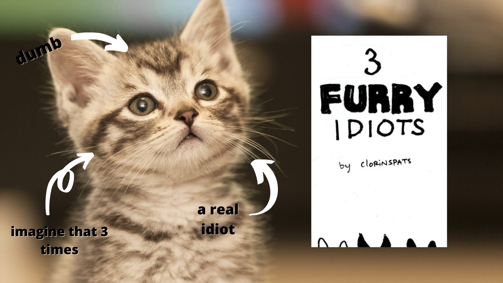 3 Furry Idiots