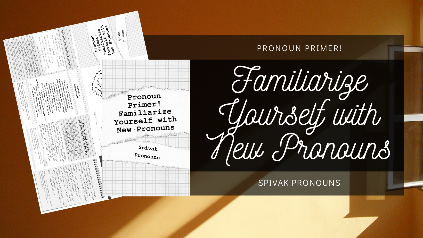 Pronoun Primer: Spivak Pronouns
