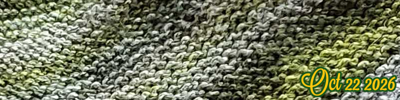 Knitting Takes Forever (and other things)